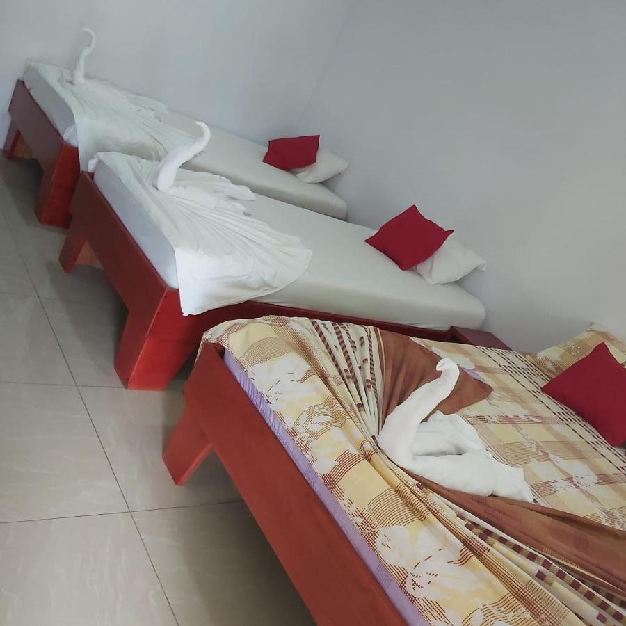 Cabanas Daneysha Tortuguero Luaran gambar