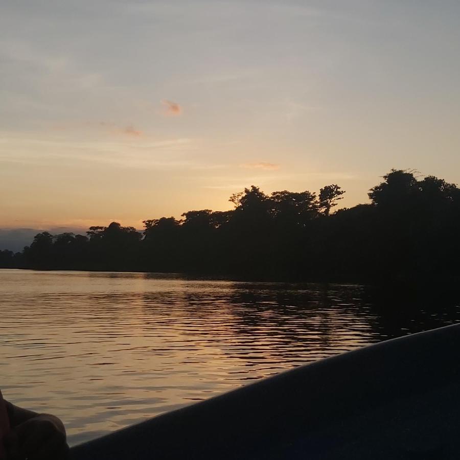 Cabanas Daneysha Tortuguero Luaran gambar