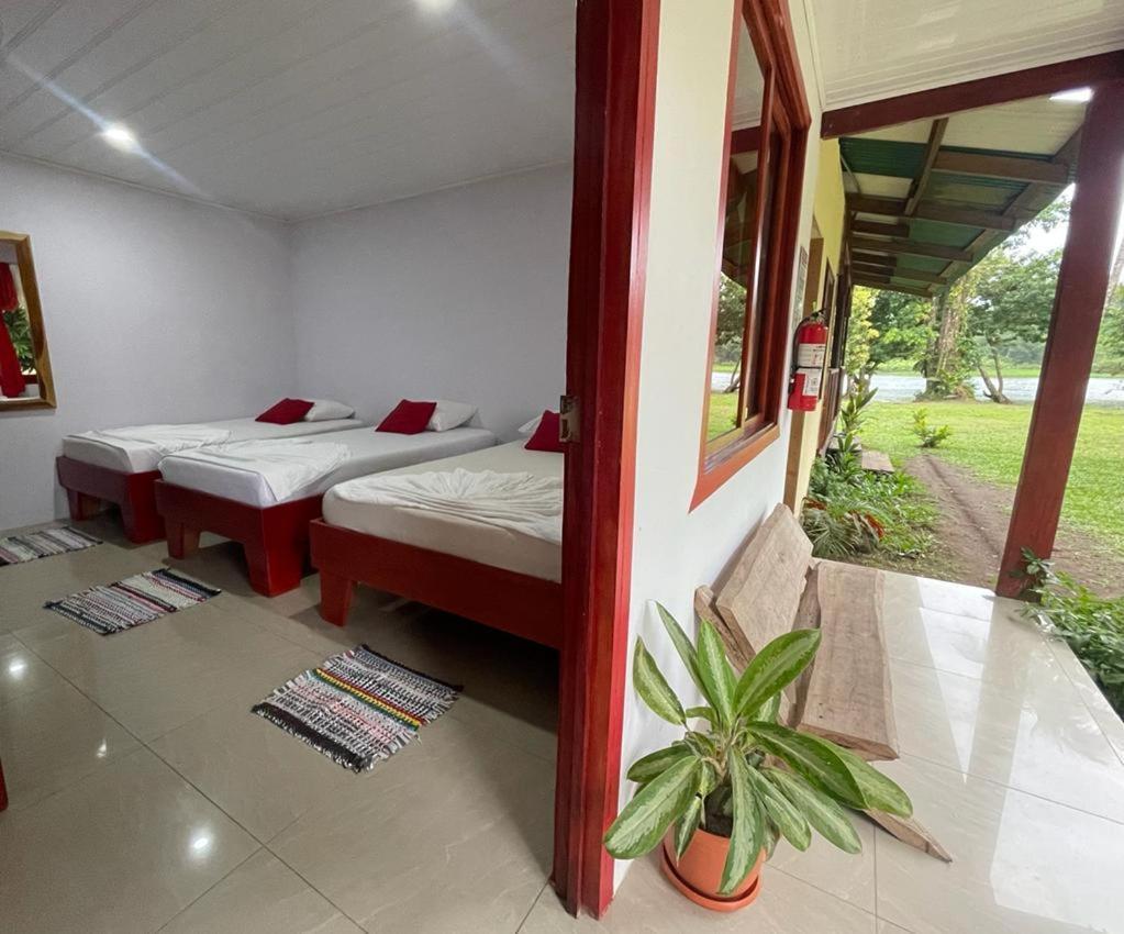 Cabanas Daneysha Tortuguero Luaran gambar