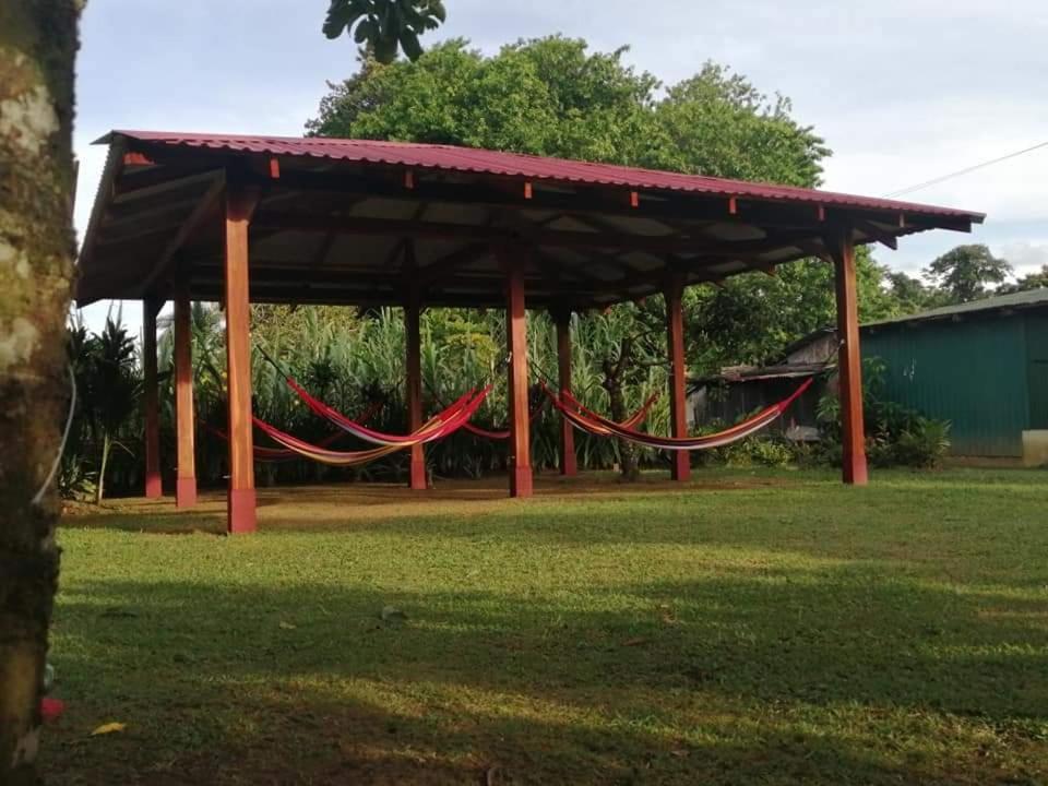 Cabanas Daneysha Tortuguero Luaran gambar