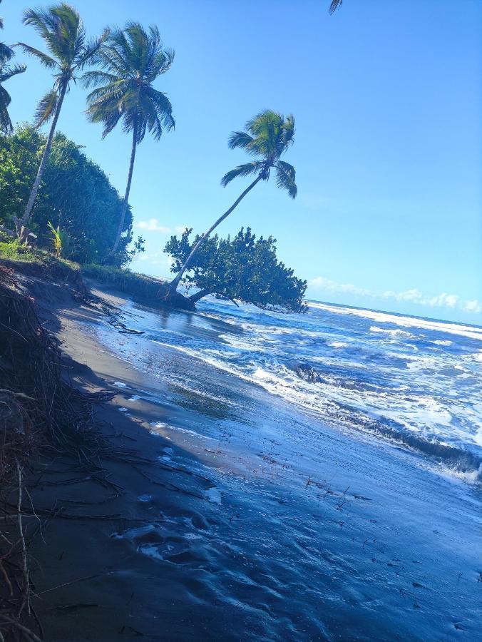 Cabanas Daneysha Tortuguero Luaran gambar
