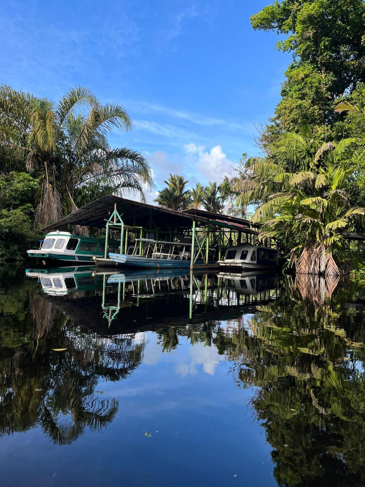 Cabanas Daneysha Tortuguero Bilik gambar